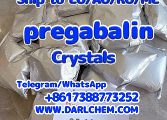 Contact Miss eva WhatsApp +8617388773252